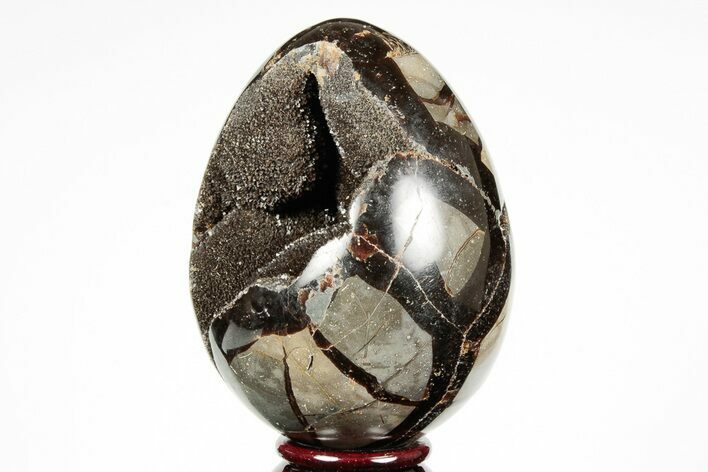 Septarian Dragon Egg Geode - Black Crystals #191493